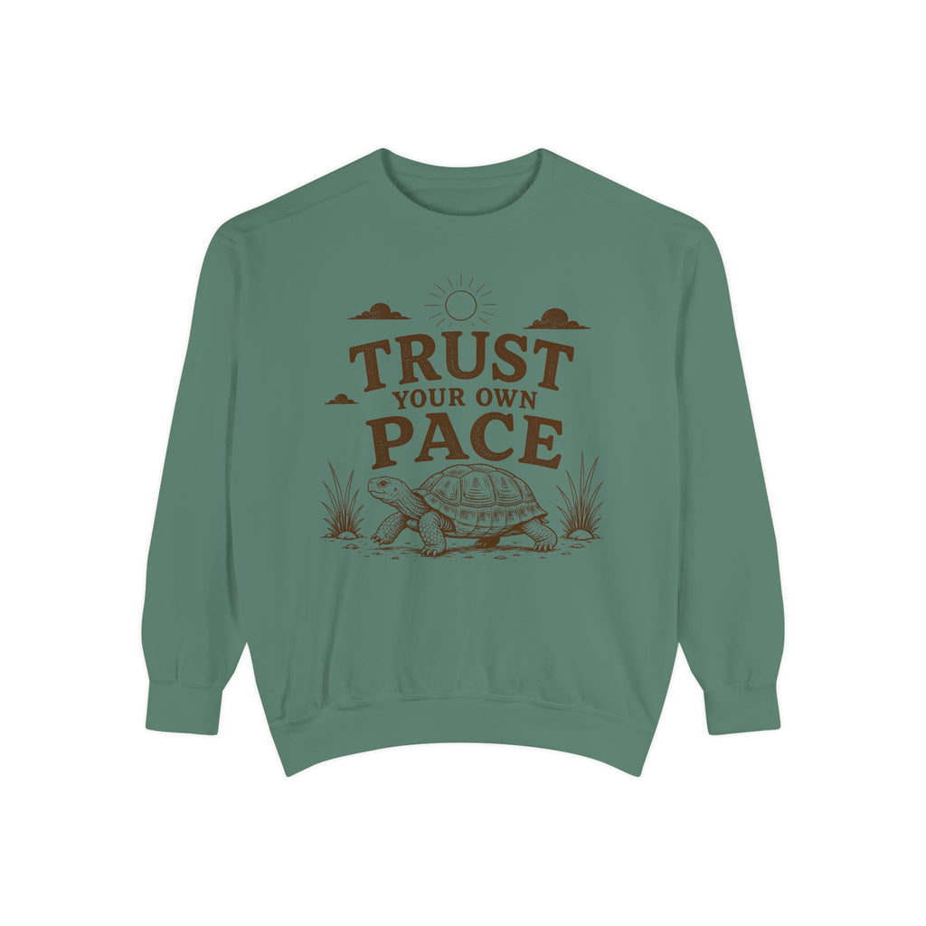 Trust Your Own Pace Turtle Sweatshirt