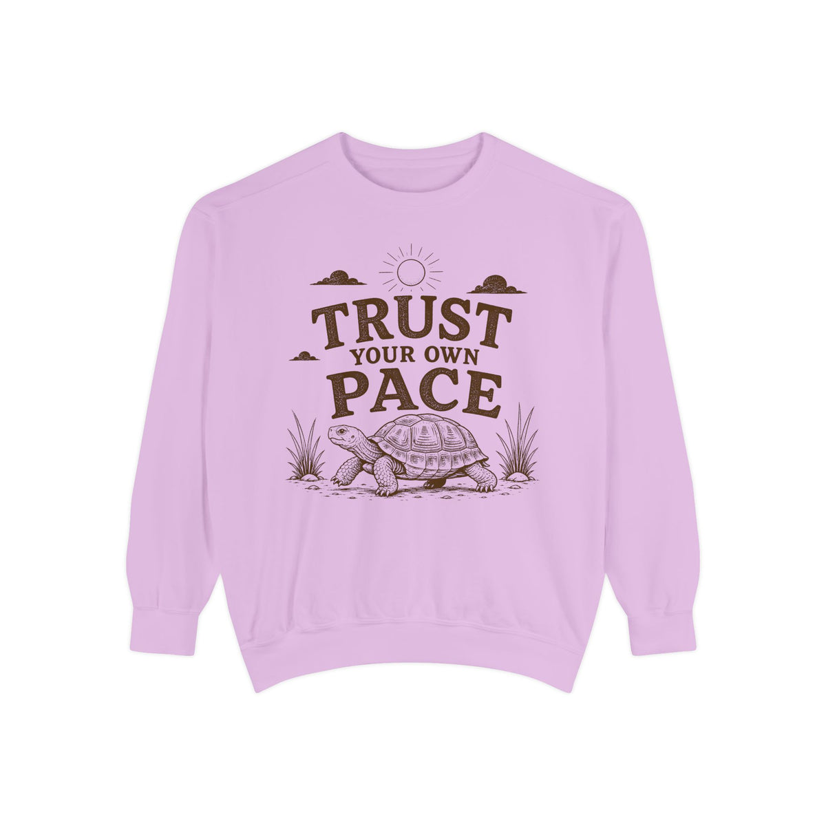Trust Your Own Pace Turtle Sweatshirt