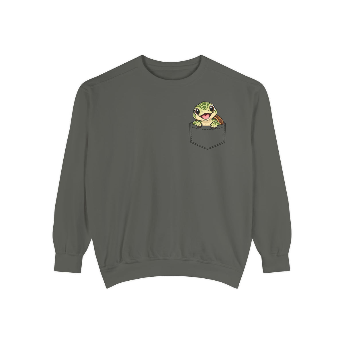 Baby Turtle Pocket Sweatshirt