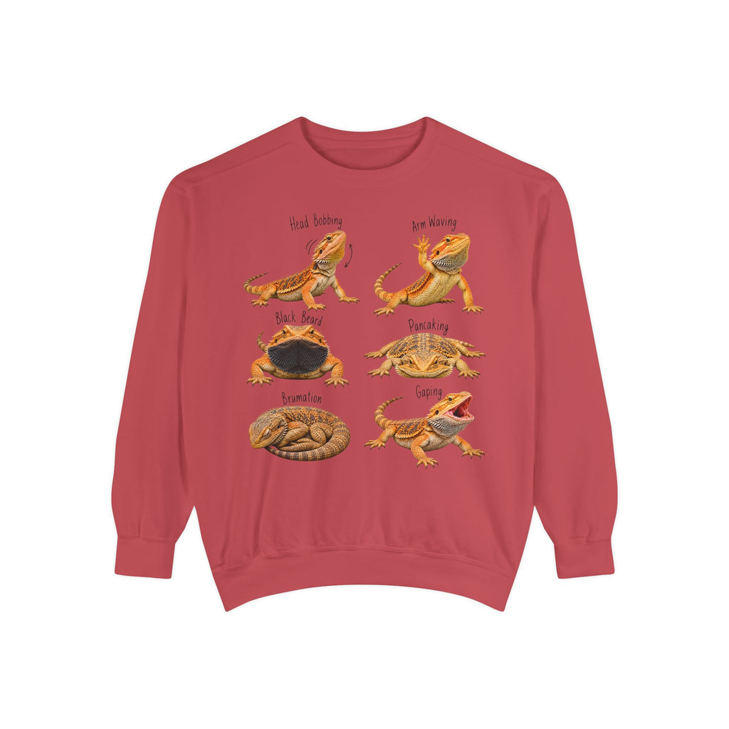 Bearded Dragon Behavior Guide Sweatshirt