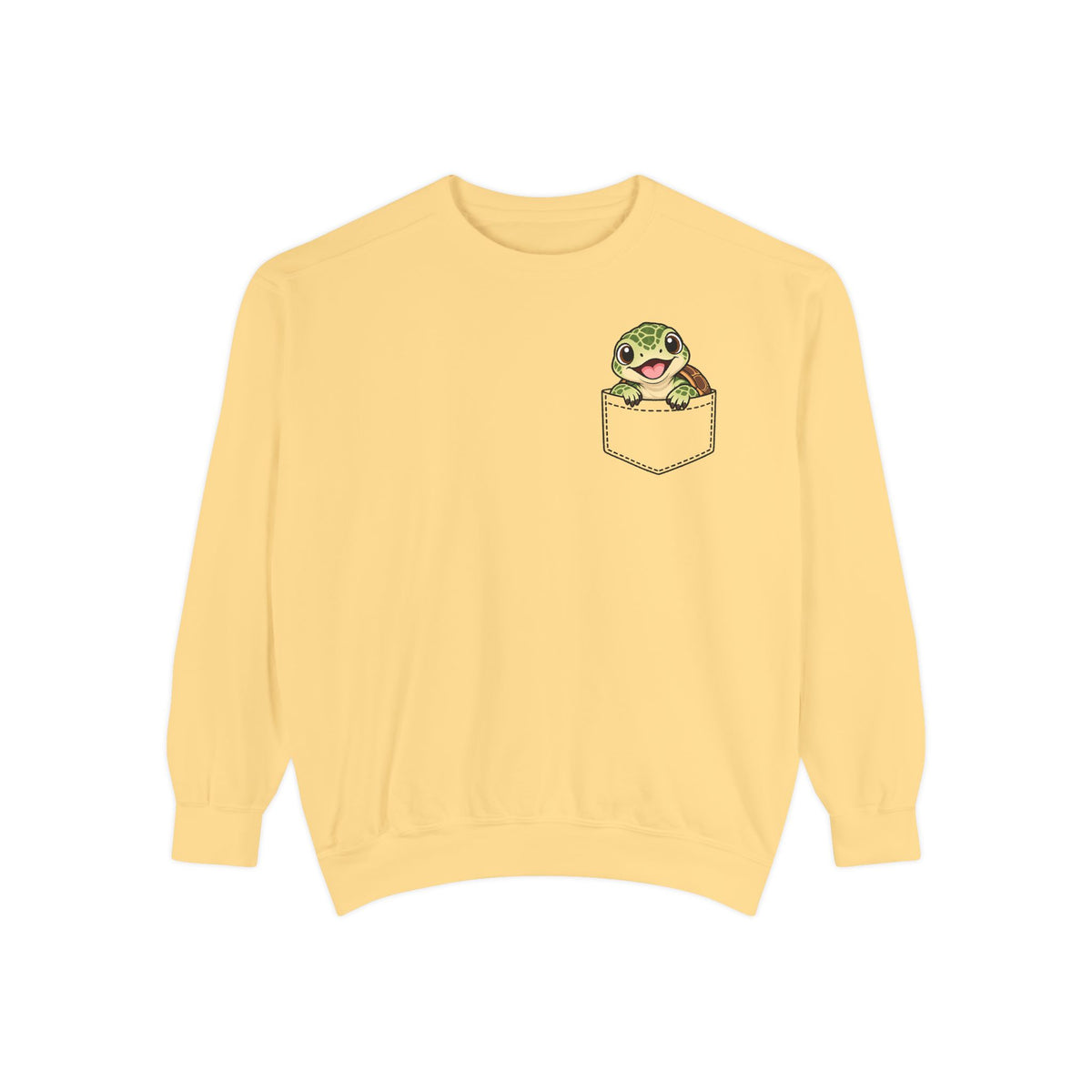 Baby Turtle Pocket Sweatshirt