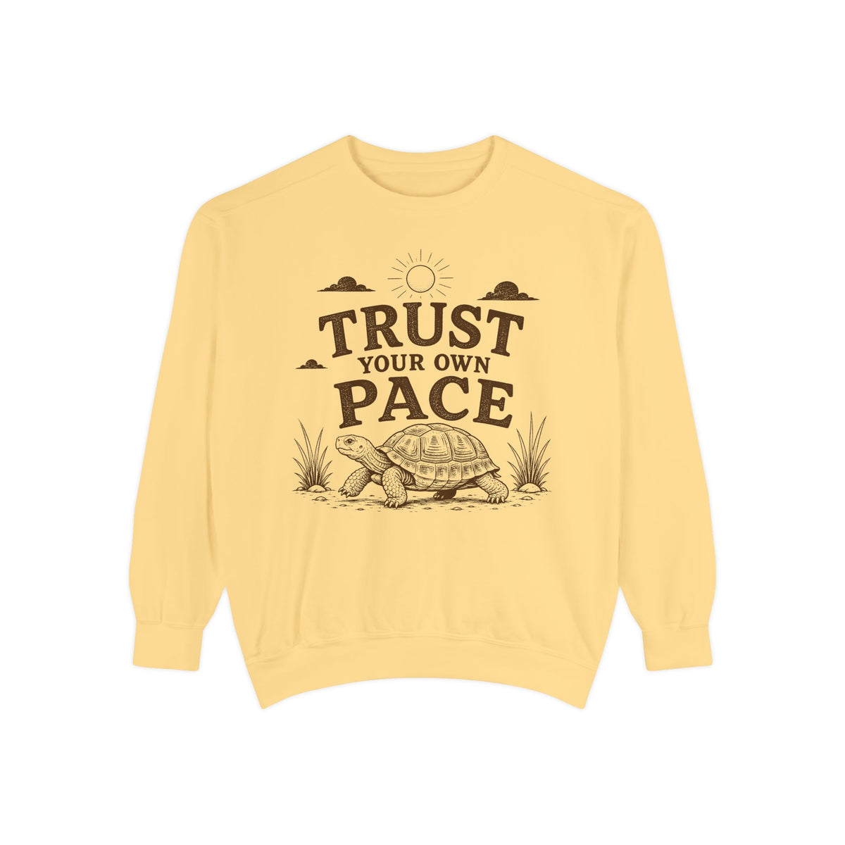 Trust Your Own Pace Turtle Sweatshirt