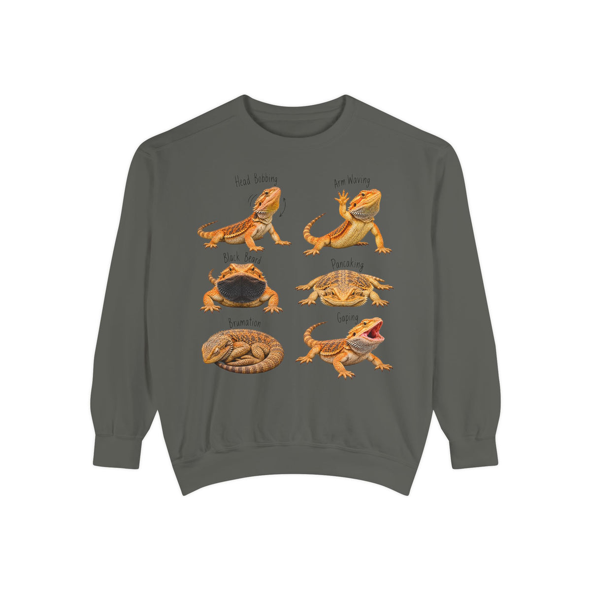 Bearded Dragon Behavior Guide Sweatshirt