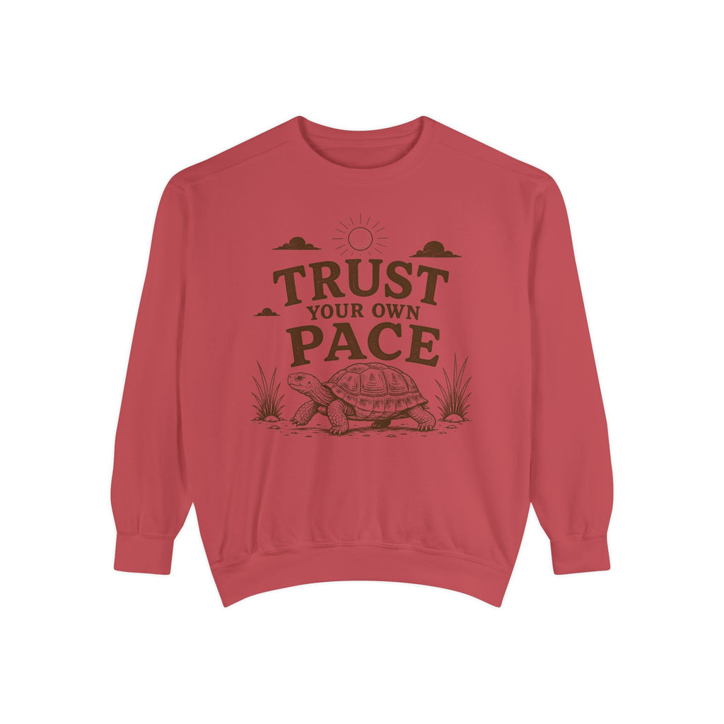 Trust Your Own Pace Turtle Sweatshirt