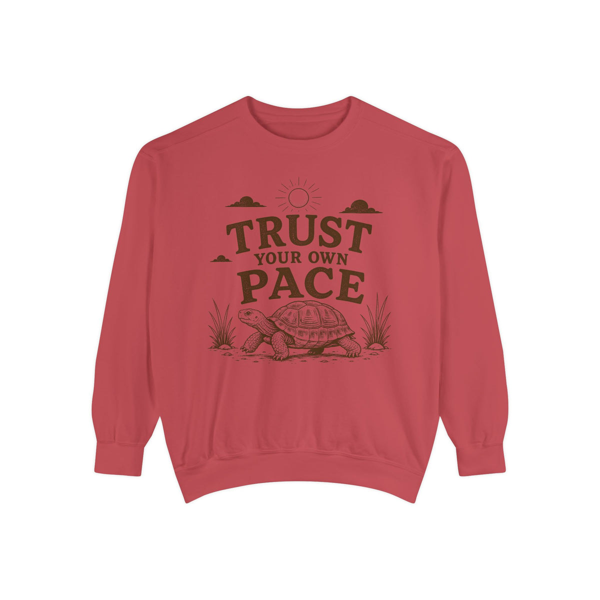 Trust Your Own Pace Turtle Sweatshirt