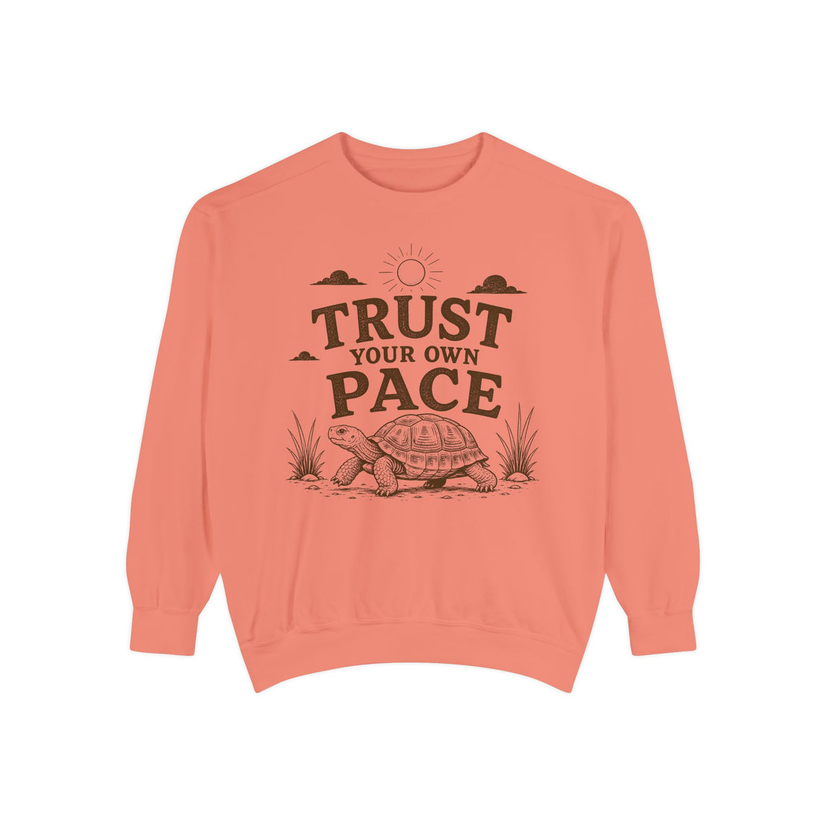 Trust Your Own Pace Turtle Sweatshirt