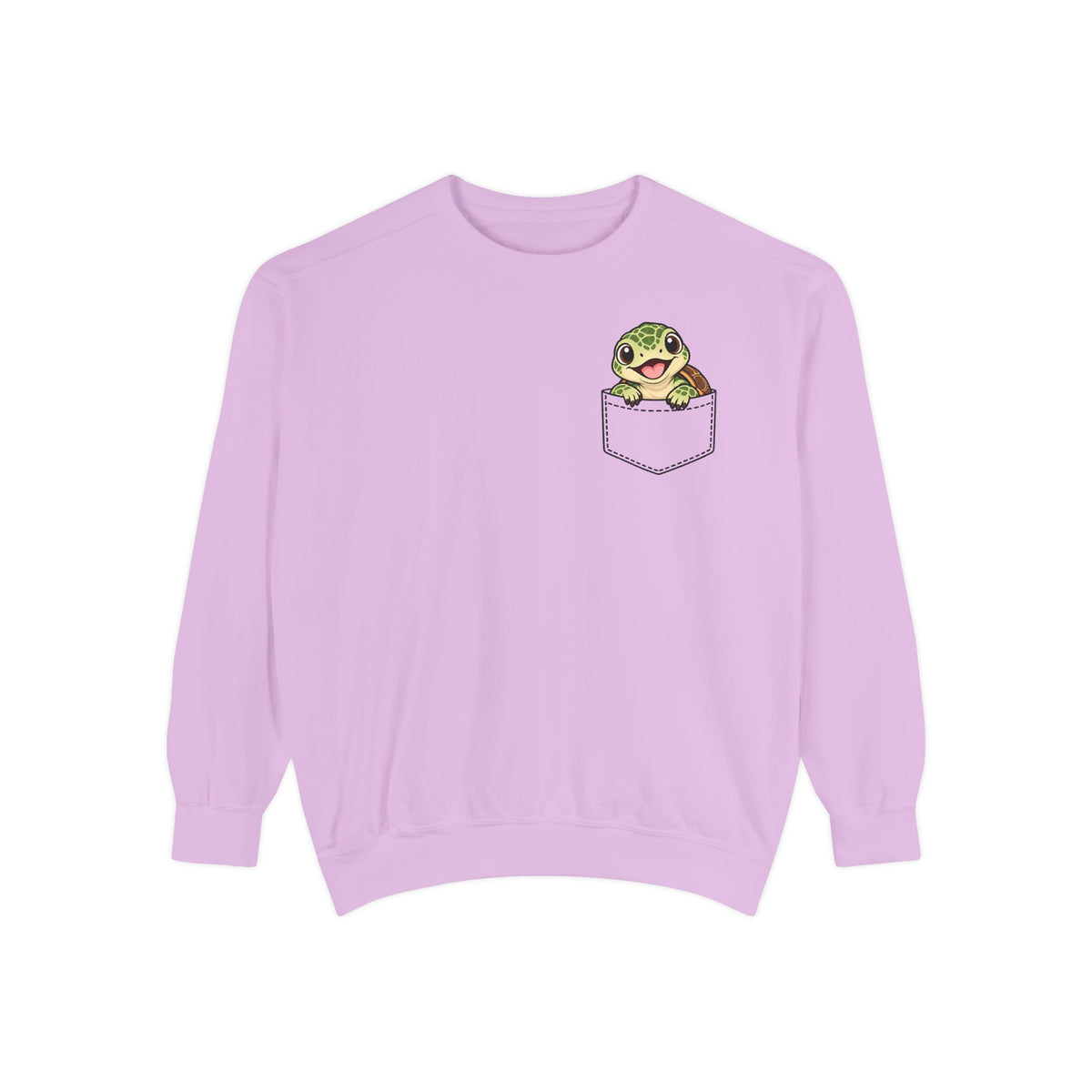 Baby Turtle Pocket Sweatshirt