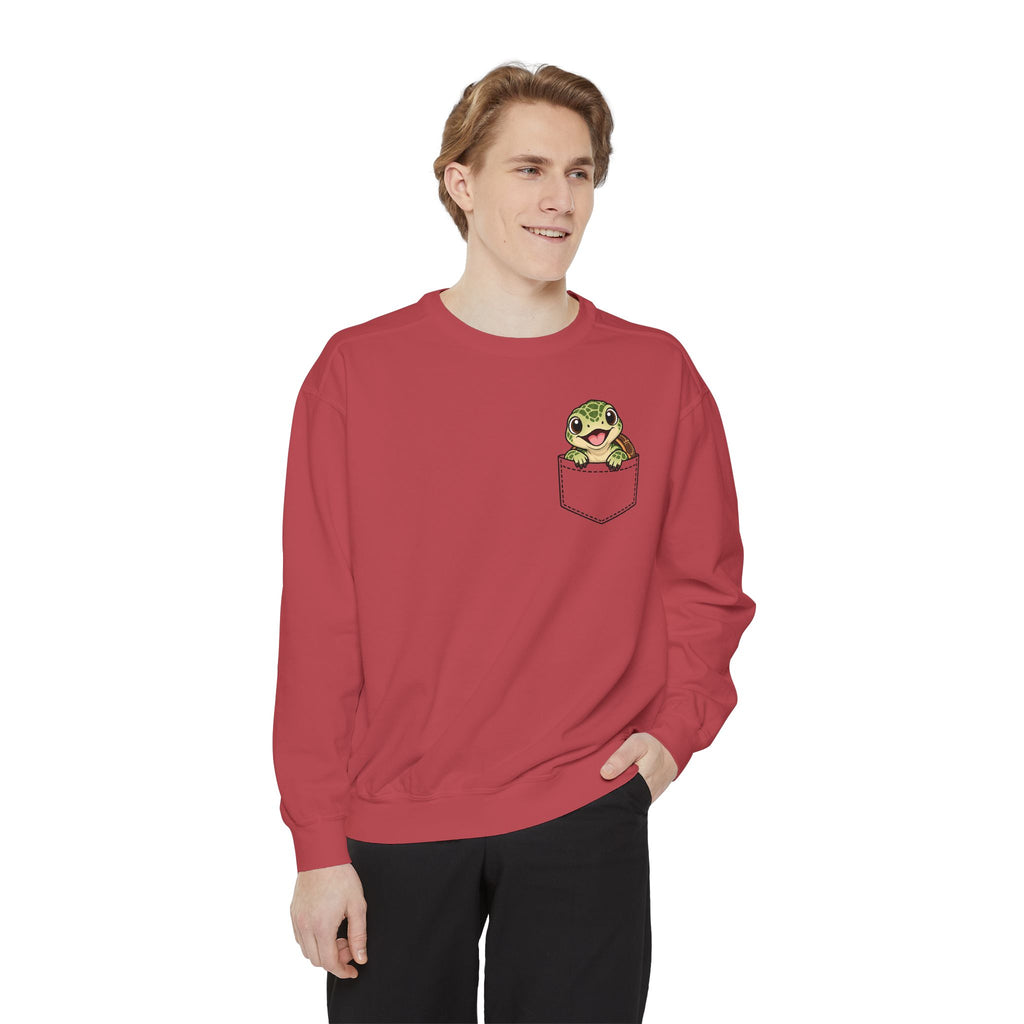 Baby Turtle Pocket Sweatshirt