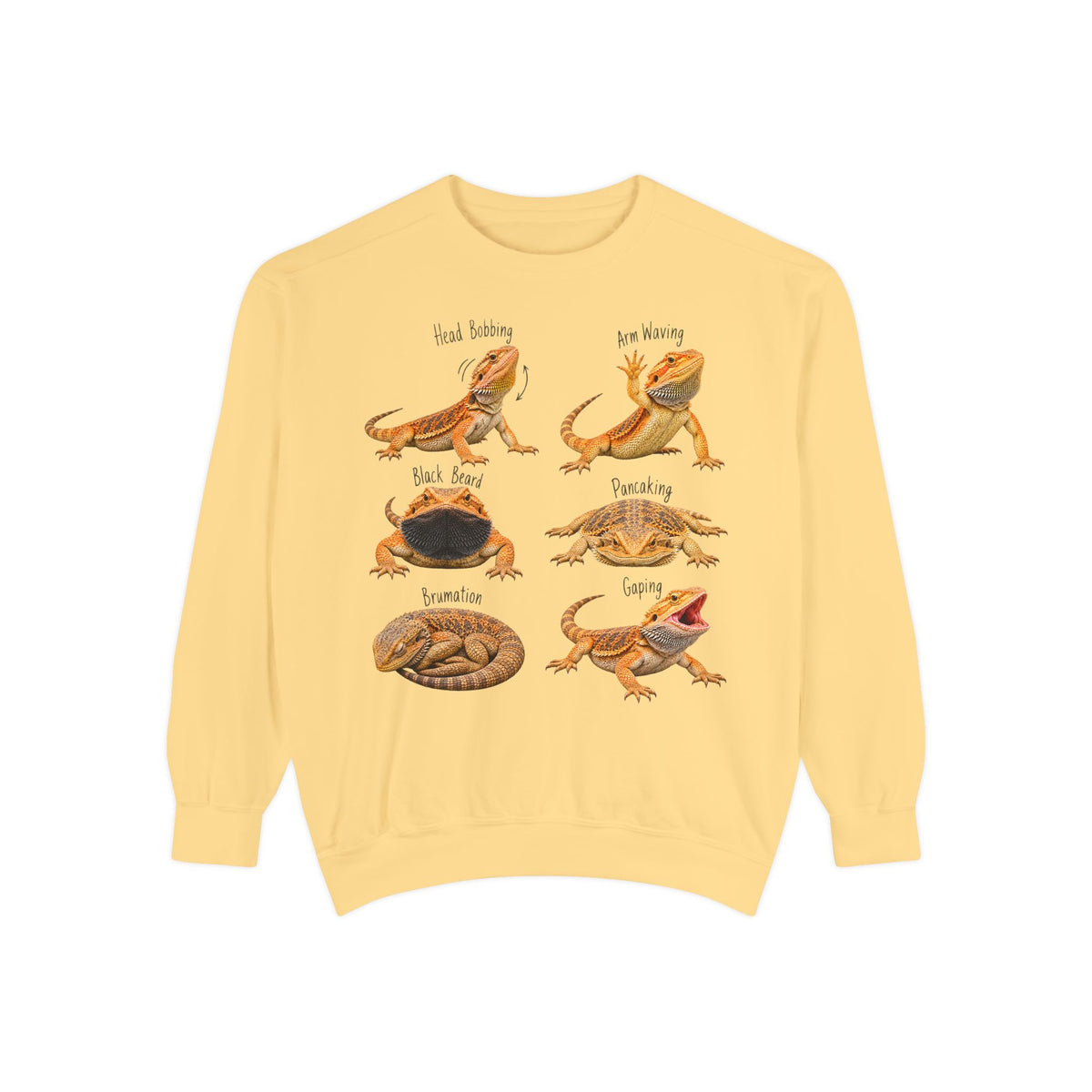 Bearded Dragon Behavior Guide Sweatshirt