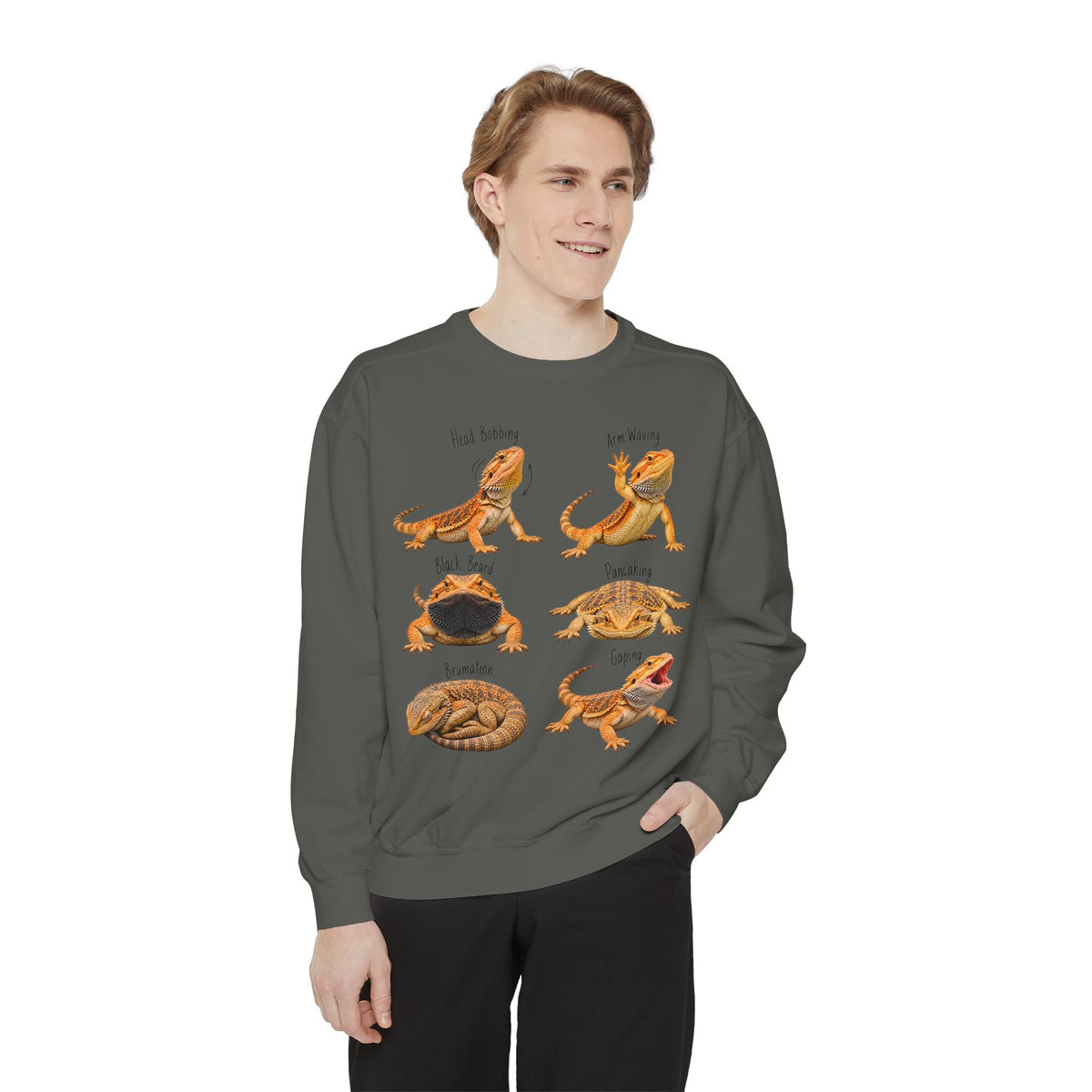 Bearded Dragon Behavior Guide Sweatshirt