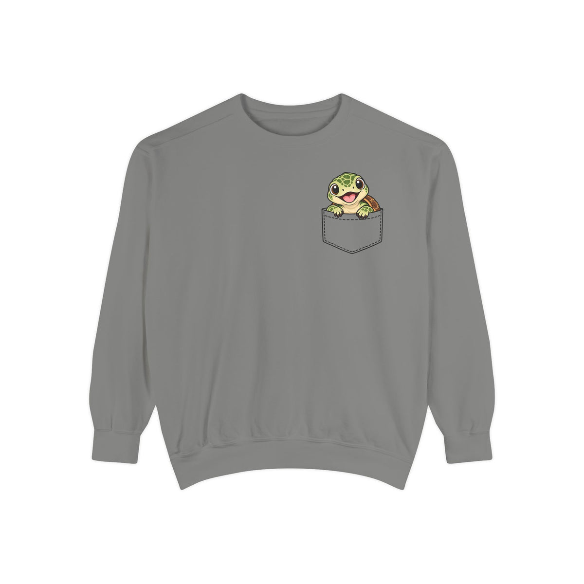 Baby Turtle Pocket Sweatshirt