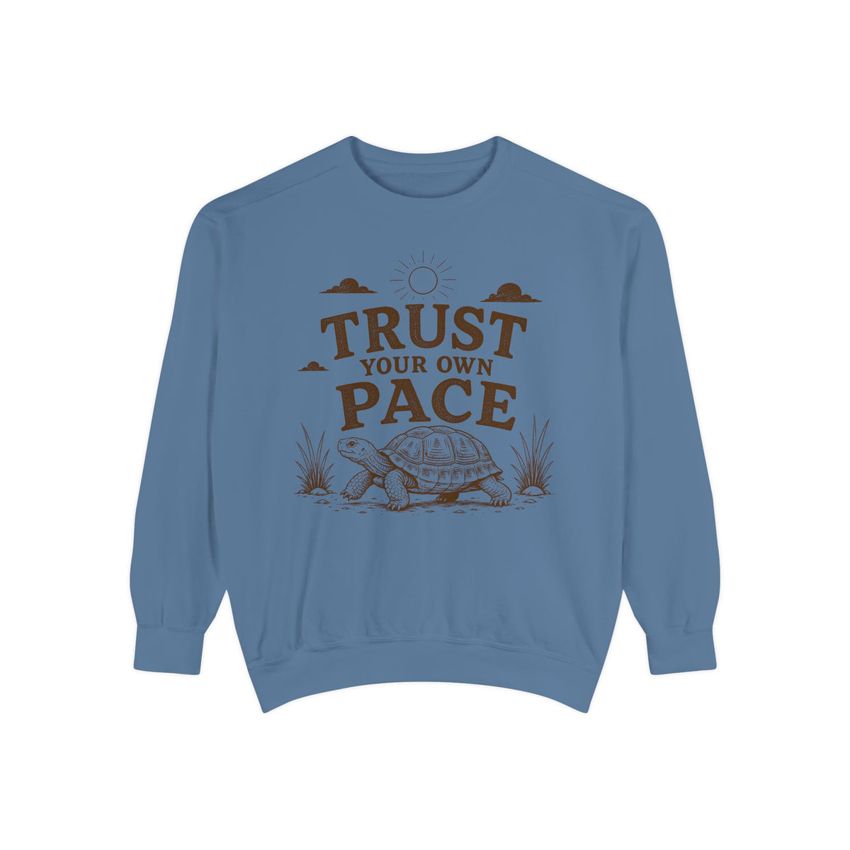 Trust Your Own Pace Turtle Sweatshirt