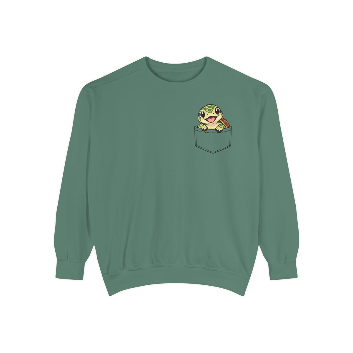 Baby Turtle Pocket Sweatshirt