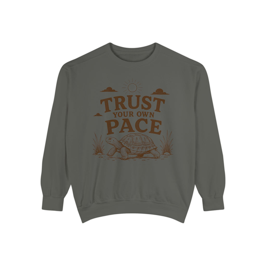 Trust Your Own Pace Turtle Sweatshirt