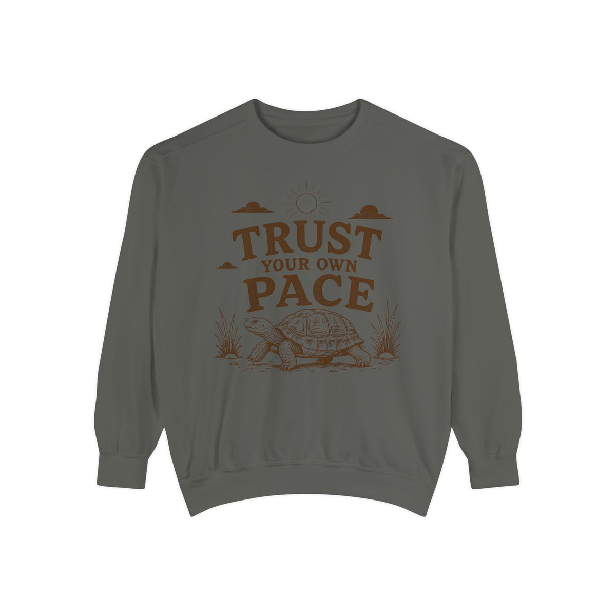 Trust Your Own Pace Turtle Sweatshirt