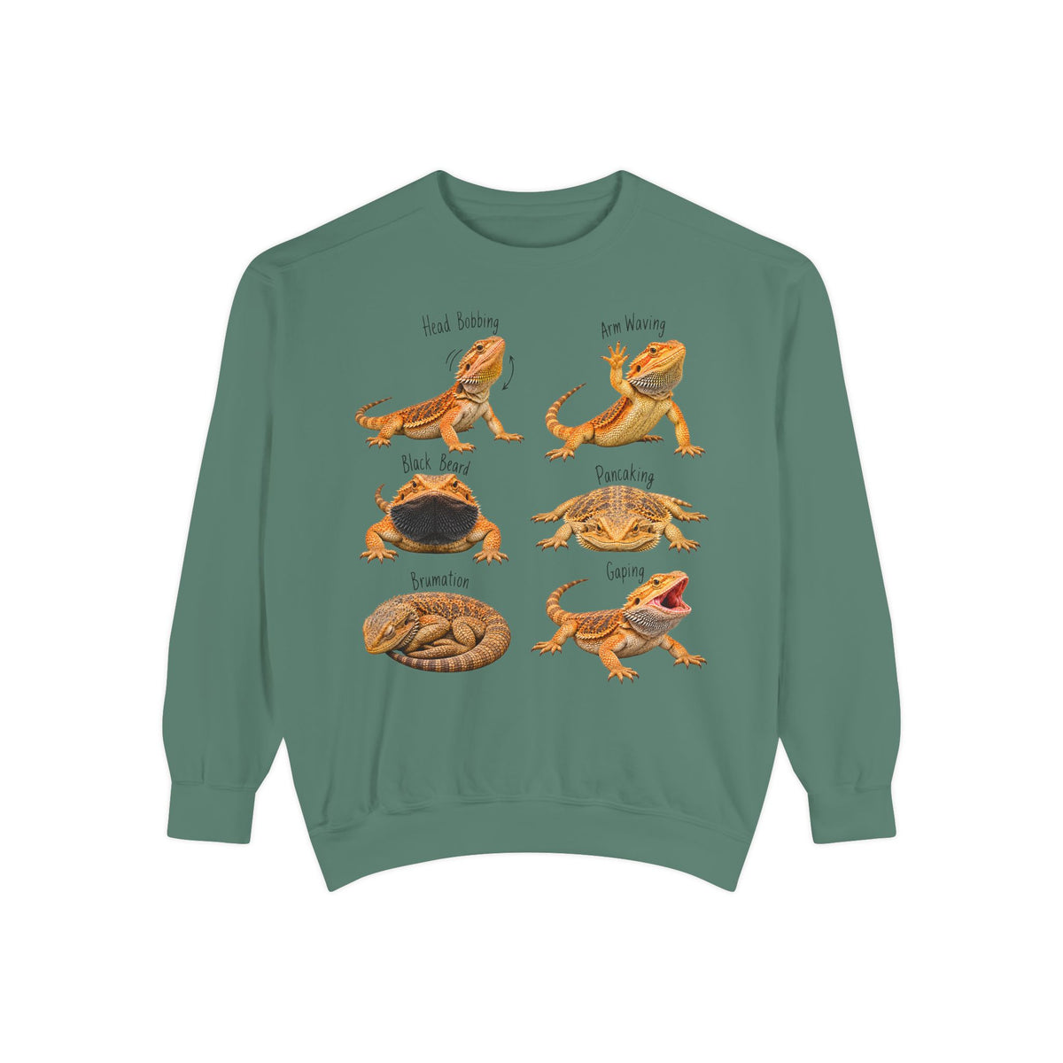Bearded Dragon Behavior Guide Sweatshirt