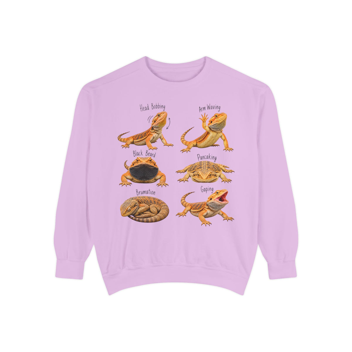 Bearded Dragon Behavior Guide Sweatshirt