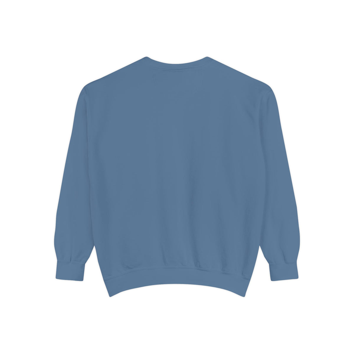 Trust Your Own Pace Turtle Sweatshirt