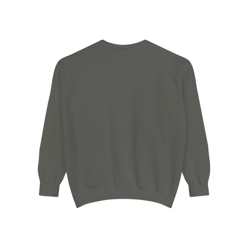Baby Turtle Pocket Sweatshirt