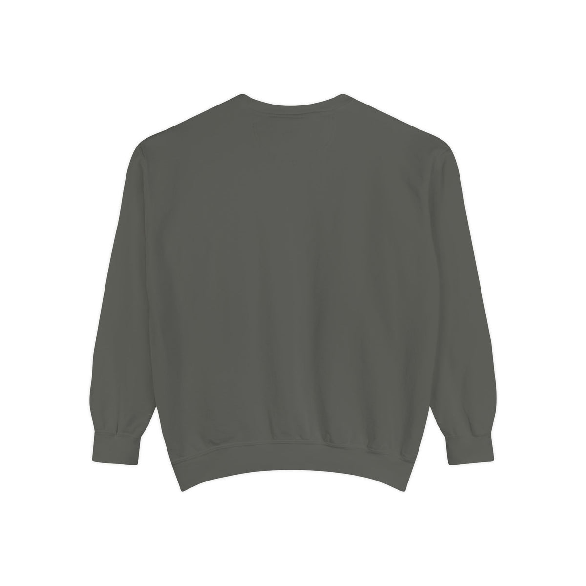 Baby Turtle Pocket Sweatshirt
