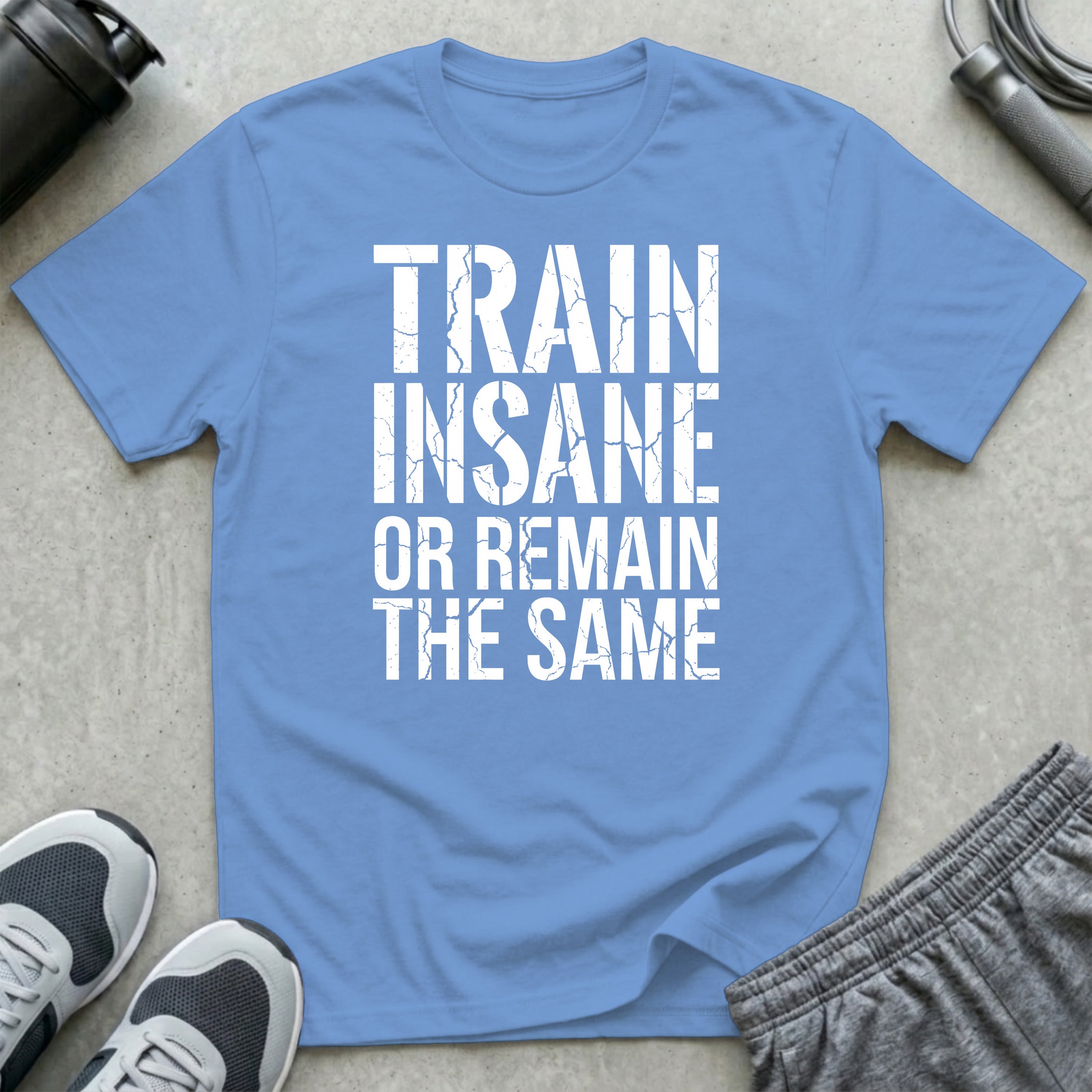 Train Insane or Remain the Same T-Shirt